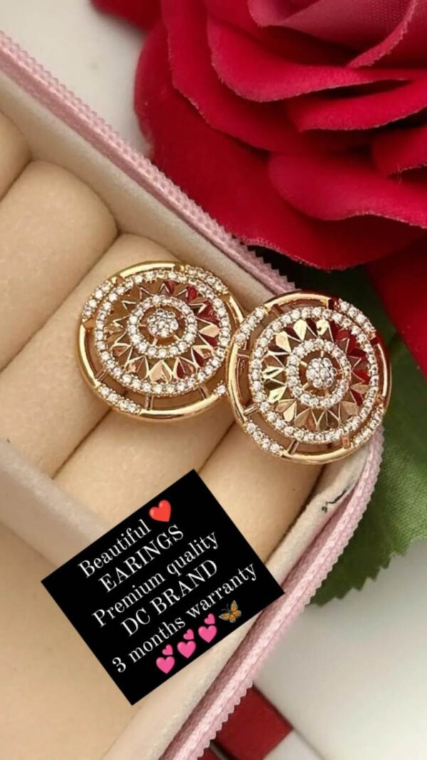 Beautiful earings dc brand