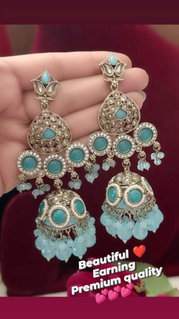 Mehendi polish beautiful earrings