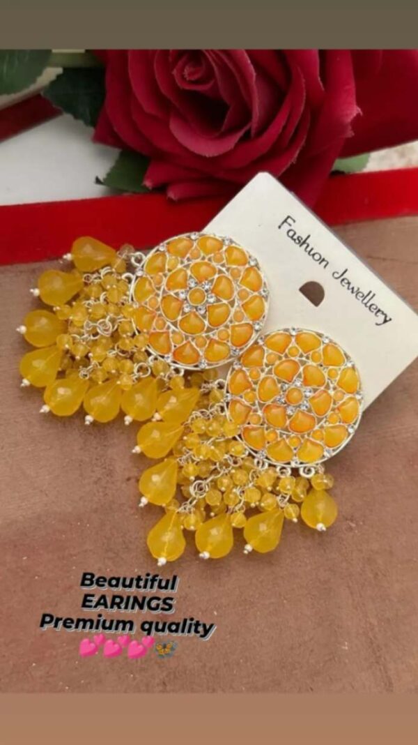 Beautiful earrings