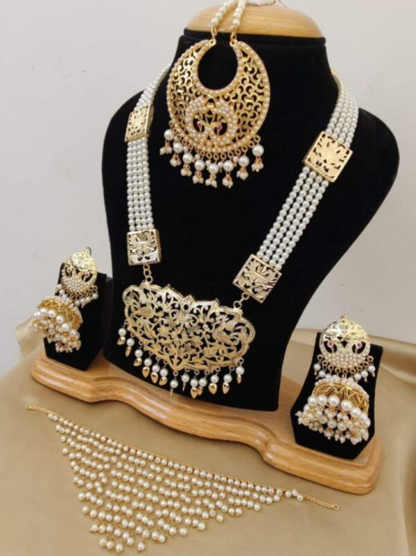 Gold Plated Choker Necklace With Rani-Haar, Earings And Tika Combo