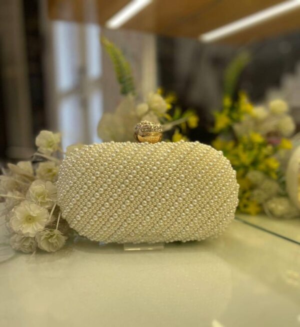 Bridal clutch Embroidered Round/Oval Box Clutch for Women's / Girls