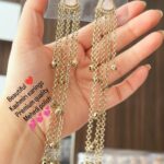 Beautiful kashmiri earrings