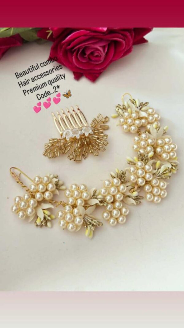 Beautiful combo  Hair accessories