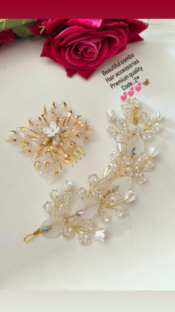 Beautiful combo  Hair accessories