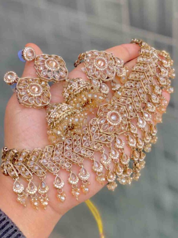 Pakistani choker With Beautiful Earrings and tikka